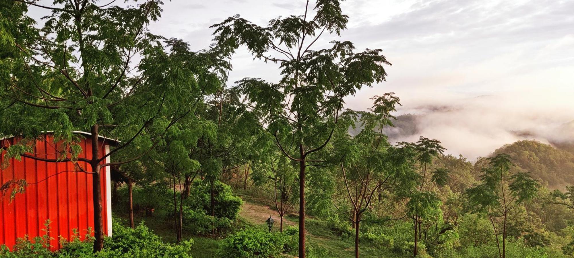 Lahermitage Resort 兰斯顿 外观 照片