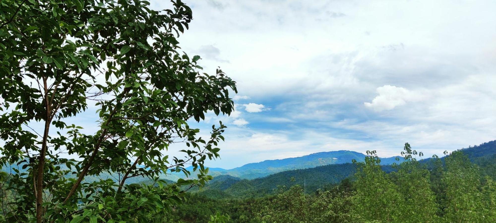 Lahermitage Resort 兰斯顿 外观 照片